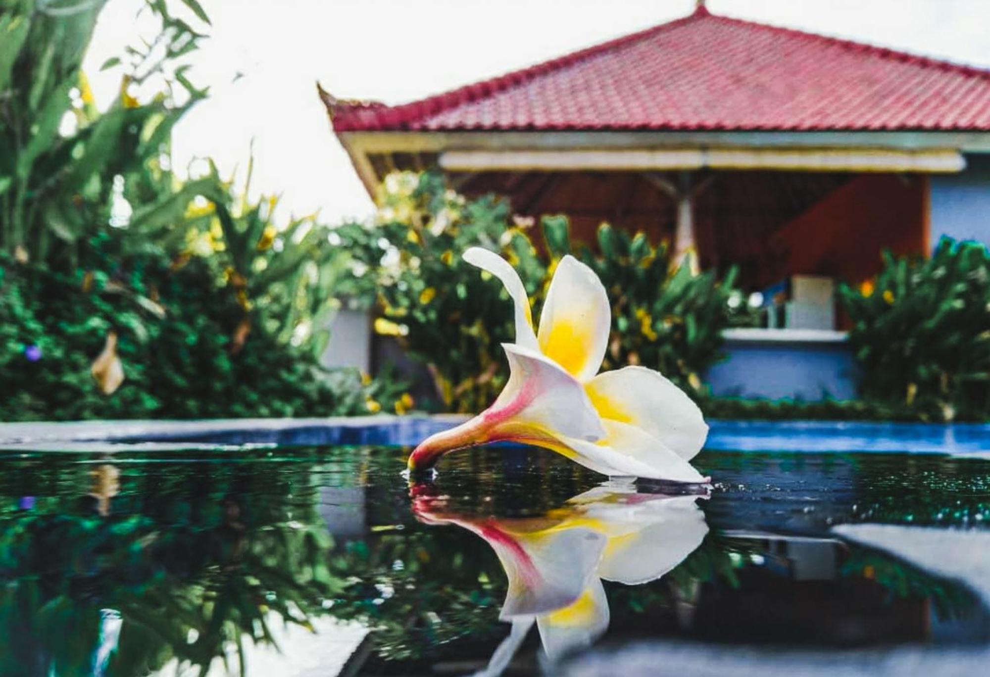Hokita Home Stay Nusa Lembongan Exterior foto